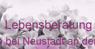 Lebensberatung Linda bei Neustadt an der Orla | Top-Experten für Kartenlegen, Wahrsagen, Hellsehen, Zukunftsdeutung. Lebensberatung Linda bei Neustadt an der Orla | Top-Experten für Kartenlegen, Wahrsagen, Hellsehen, Zukunftsdeutung.